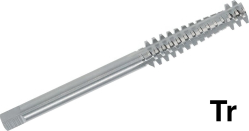 Метчики трапецеидальные Tr