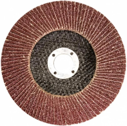 Круги лепестковые торцевые (КЛТ)