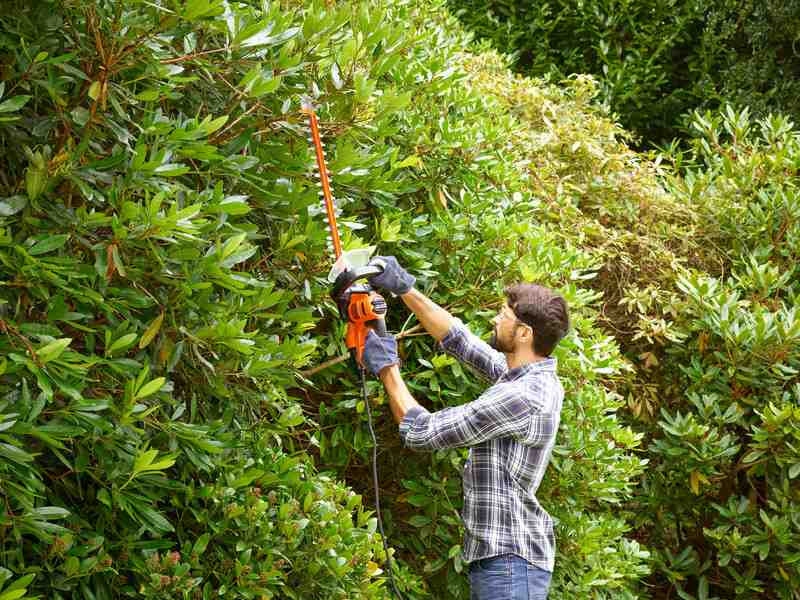 BEHTS401-QS Кущоріз мережевий Black+Decker 500 Вт полотно 55 cм крок зубця 
22 мм
