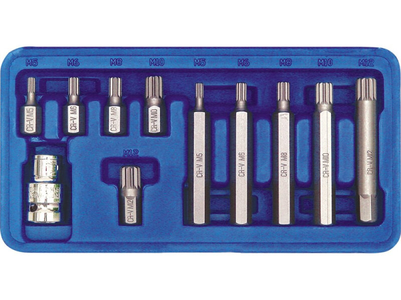 Набір головок-біт Spline M5-M12 VOREL 66770, 11 шт, привід 3/8" і 1/2", CrV
