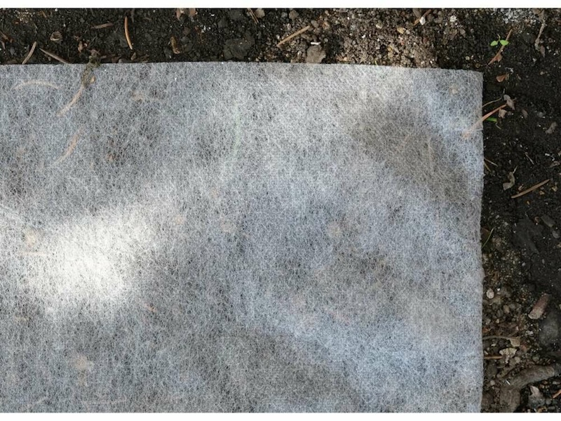 Агроволокно захисне накривне FLO, 50х 1,6 м, 19 гр/м², поліпропілен