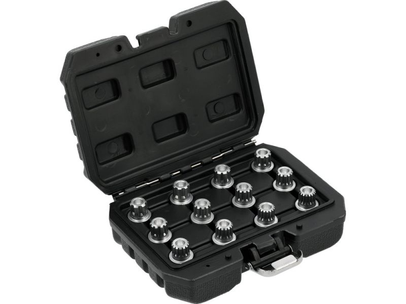 Набор головок для секретных болтов VAG 1/2" YATO YT-060394, 12 предметов, CrMo