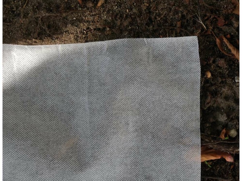 Агроволокно захисне накривне FLO, 50х 1,6 м, 50 гр/м², поліпропілен