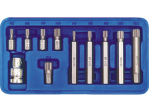 Набор головок-бит Spline M5-M12 VOREL 66770, 11 шт, привод 3/8" и 1/2", CrV