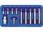 Набор головок-бит Spline M5-M12 VOREL 66770, 11 шт, привод 3/8" и 1/2", CrV