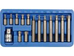 Набор головок-бит Torx T20-T55 VOREL 66580, 15 шт, привод 3/8" и 1/2", CrV